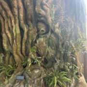 ヒメ日記 2025/09/10 18:20 投稿 らいと SPIN(スピン)