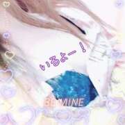 ヒメ日記 2025/01/09 01:02 投稿 めいこ 熟女の風俗最終章　越谷店