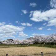 ヒメ日記 2025/05/28 08:32 投稿 のぞみ～マダム～ クラブレア南大阪