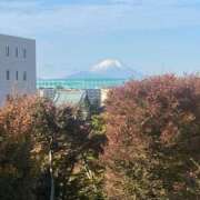 ヒメ日記 2025/11/15 07:06 投稿 原田 モアグループ所沢人妻城