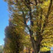 ヒメ日記 2025/11/23 07:42 投稿 原田 モアグループ所沢人妻城