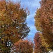 ヒメ日記 2025/11/28 22:03 投稿 原田 モアグループ所沢人妻城