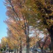 ヒメ日記 2025/11/30 22:42 投稿 原田 モアグループ所沢人妻城