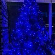 ヒメ日記 2025/12/01 23:03 投稿 原田 モアグループ所沢人妻城