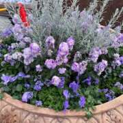 ヒメ日記 2025/12/02 23:06 投稿 原田 モアグループ所沢人妻城