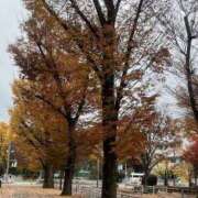 ヒメ日記 2025/12/03 07:51 投稿 原田 モアグループ所沢人妻城