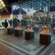 ヒメ日記 2025/12/15 18:33 投稿 原田 モアグループ所沢人妻城