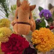 ヒメ日記 2025/12/30 21:42 投稿 原田 モアグループ所沢人妻城