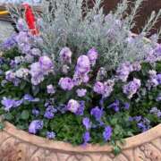 ヒメ日記 2026/01/29 16:06 投稿 原田 モアグループ所沢人妻城