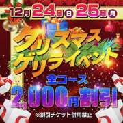 ヒメ日記 2023/12/24 07:46 投稿 みやび ハナミズキ