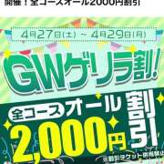 ヒメ日記 2024/04/27 16:42 投稿 みやび ハナミズキ