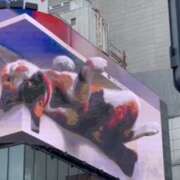 ヒメ日記 2025/05/14 16:58 投稿 みやび ハナミズキ