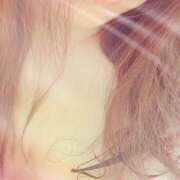 ヒメ日記 2025/12/18 10:44 投稿 みやび ハナミズキ