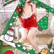 ヒメ日記 2025/12/24 13:04 投稿 みやび ハナミズキ