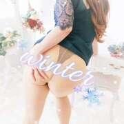 ヒメ日記 2025/12/28 09:26 投稿 みやび ハナミズキ