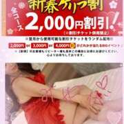 ヒメ日記 2026/01/04 14:50 投稿 みやび ハナミズキ