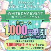ヒメ日記 2026/03/09 18:56 投稿 みやび ハナミズキ