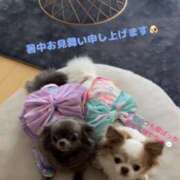 ヒメ日記 2025/07/31 11:40 投稿 さつき 沼津人妻花壇