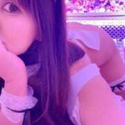 ヒメ日記 2025/08/02 01:58 投稿 さつき 沼津人妻花壇