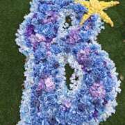 ヒメ日記 2025/11/09 19:17 投稿 さつき 沼津人妻花壇