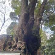 ヒメ日記 2026/02/25 13:37 投稿 さつき 沼津人妻花壇