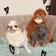 ヒメ日記 2026/03/27 14:06 投稿 さつき 沼津人妻花壇