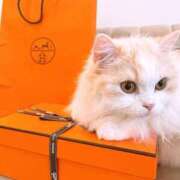 ヒメ日記 2025/01/20 08:34 投稿 望 Versailles