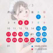 ヒメ日記 2025/03/10 15:13 投稿 望 Versailles