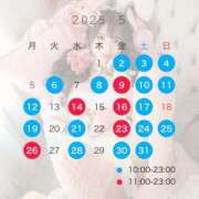 ヒメ日記 2025/04/14 12:07 投稿 望 Versailles