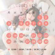 ヒメ日記 2025/10/17 00:21 投稿 望 Versailles