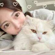 ヒメ日記 2025/12/11 15:06 投稿 望 Versailles