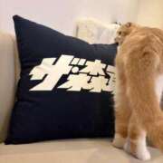 ヒメ日記 2026/02/27 21:31 投稿 望 Versailles