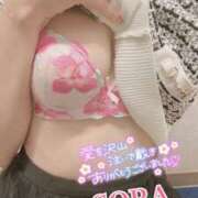 ヒメ日記 2025/04/19 16:26 投稿 そら 新橋ハートクリニック（シンデレラグループ）