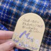 ヒメ日記 2023/11/12 22:51 投稿 きこ ちゃんこ本厚木店