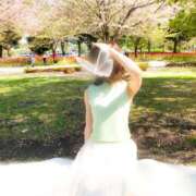 ヒメ日記 2025/07/26 08:01 投稿 月嶋一花 ローテンブルク