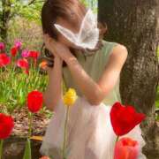 ヒメ日記 2025/10/14 22:00 投稿 月嶋一花 ローテンブルク