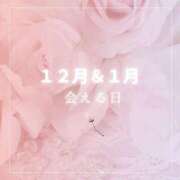 ヒメ日記 2025/11/25 12:00 投稿 月嶋一花 ローテンブルク