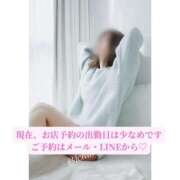 ヒメ日記 2026/04/15 08:01 投稿 月嶋一花 ローテンブルク