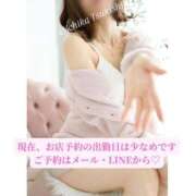 ヒメ日記 2026/04/18 08:01 投稿 月嶋一花 ローテンブルク