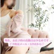 ヒメ日記 2026/04/25 08:02 投稿 月嶋一花 ローテンブルク