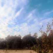 ヒメ日記 2025/11/16 09:01 投稿 荒川もな ダリア