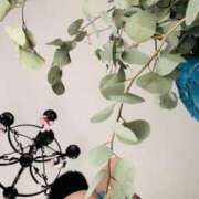 ヒメ日記 2025/11/22 08:51 投稿 荒川もな ダリア