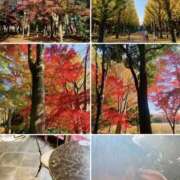 ヒメ日記 2025/12/09 10:21 投稿 荒川もな ダリア