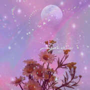 ヒメ日記 2025/08/21 08:45 投稿 れいな 奥鉄オクテツ東京店（デリヘル市場）