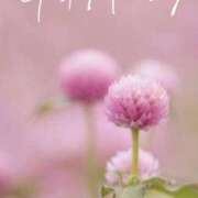 ヒメ日記 2025/10/19 09:00 投稿 れいな 奥鉄オクテツ東京店（デリヘル市場）