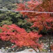 ヒメ日記 2025/11/10 08:10 投稿 れいな 奥鉄オクテツ東京店（デリヘル市場）