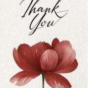 ヒメ日記 2025/11/17 10:00 投稿 れいな 奥鉄オクテツ東京店（デリヘル市場）