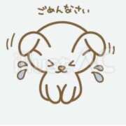 ヒメ日記 2026/02/19 15:15 投稿 れいな 奥鉄オクテツ東京店（デリヘル市場）