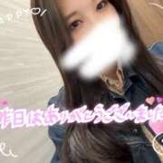 ヒメ日記 2025/11/14 00:16 投稿 ひろ club さくら日本橋店