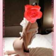 ヒメ日記 2026/03/08 11:30 投稿 中嶋(なかじま)奥様 新潟人妻デリバリーヘルス下心